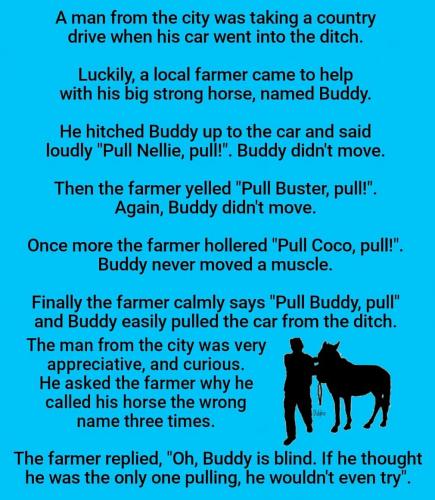 263802328_1298144287363624_2670223749352407844_n