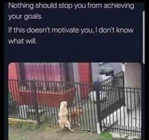 FB_IMG_1639779281008