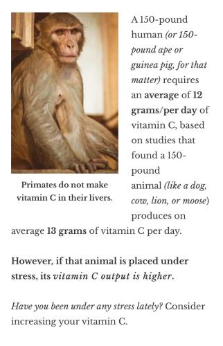 11:21:59 GMT-0600 (CST).image