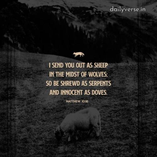 09:19:15 GMT-0500 (EST)