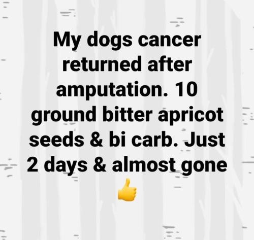 12:44:45 GMT-0500 (EST)