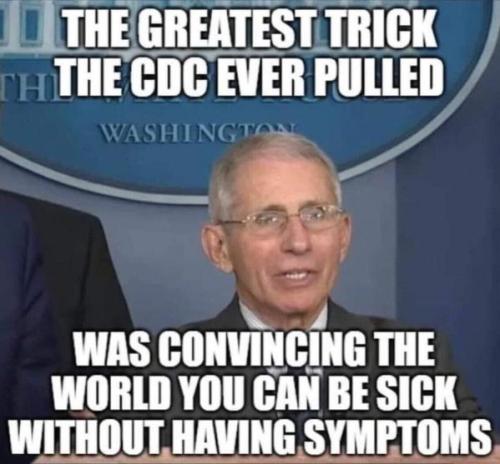 cdc24