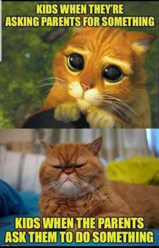 269829115_5008602782483907_6531701559688609226_n