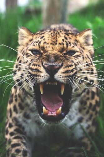 df76a1cbad5197052b654ffd56b2bf41