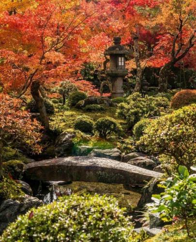 267263228_453224056173602_7083609978573924645_n