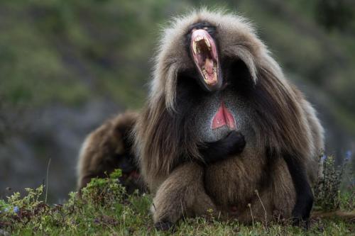 263065466_4569990296389016_6207162494098432003_n