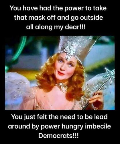 FB_IMG_1639334785594