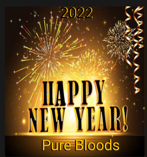 Screenshot_2021-12-27-22-26-30(1)(1)~2