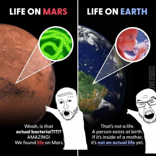 Earth life vs mars life