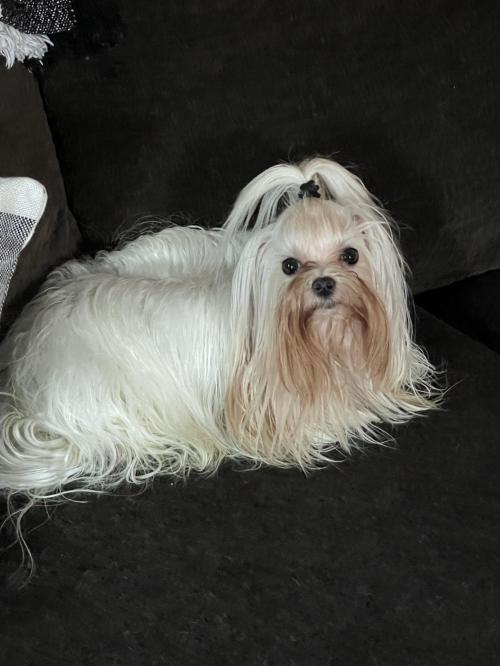 8D1E7536-5549-40B0-88B6-156B60FB37FF