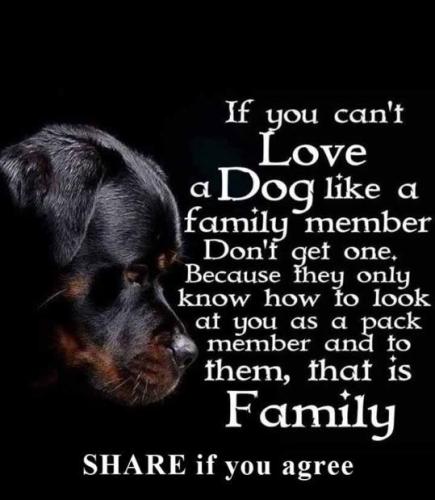 12009687_10153222811102875_5408225135067992380_n