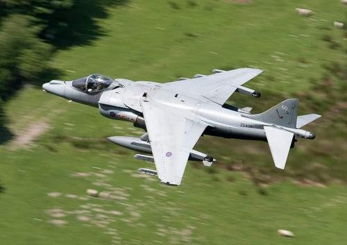 266334877_4652979918121525_21270412644791807_n