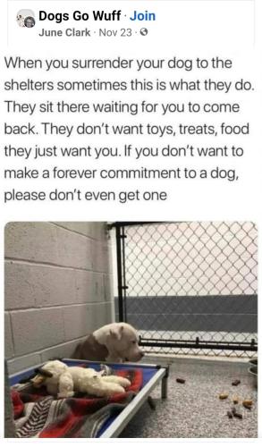 12:00:43 GMT-0500 (EST)