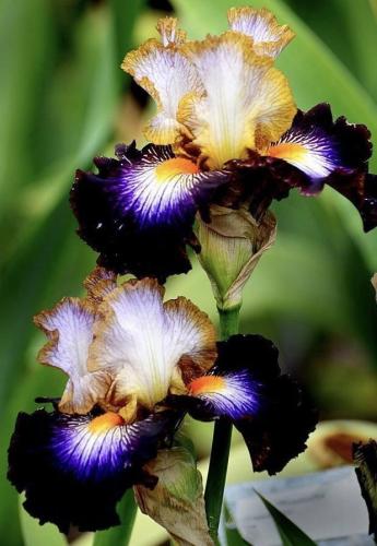 18:50:26 GMT-0600 (CST)