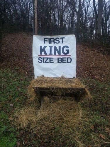 king bed f