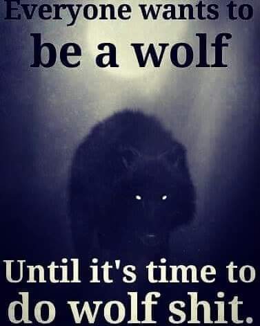 FB_IMG_1639628301512