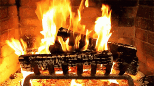yule-yule-log