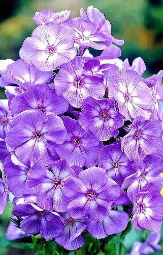 09:37:32 GMT-0600 (CST)