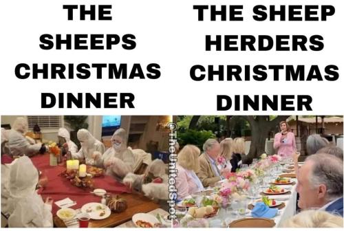 269805044_1010239603181920_6585503606475342757_n