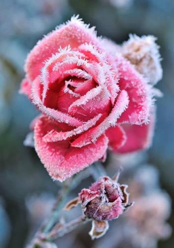 262030139_7107685352578498_664795155890976064_n