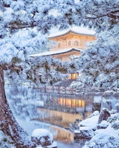 265093118_452406082922066_2981069997586105972_n