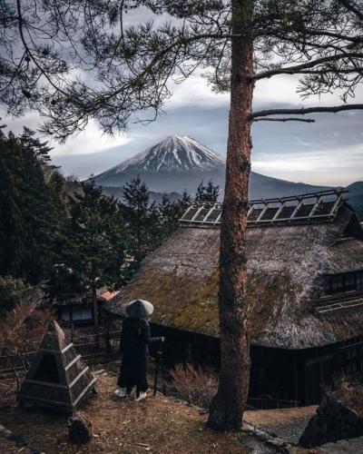 266184502_441386087703603_6082934074228441312_n