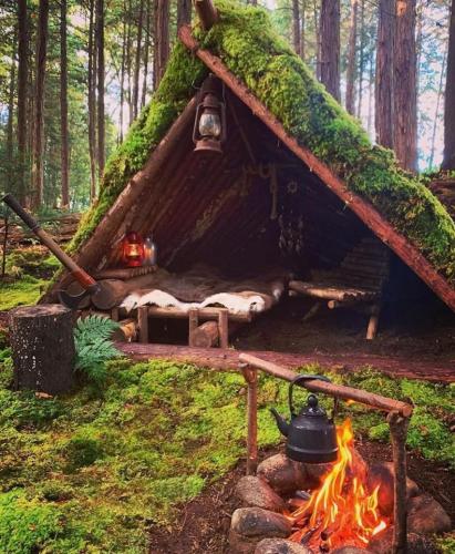 264429274_1738905932981958_6708212044891951967_n