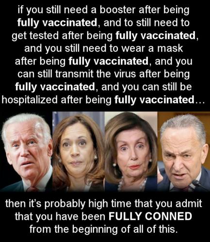 scamdemic40