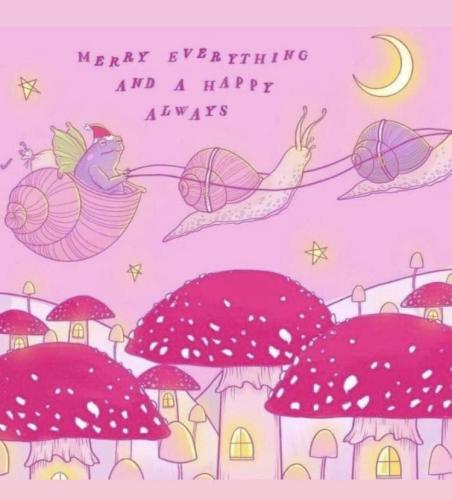 photo_2021-12-15_09-46-29