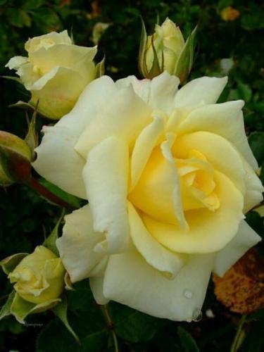 08:09:54 GMT-0600 (CST)