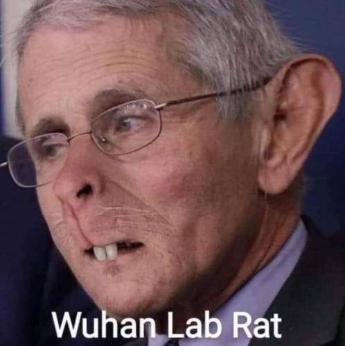 FB_IMG_1639095067695