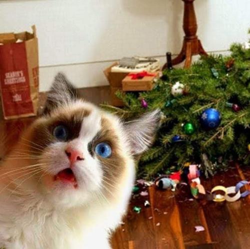 14:09:36 GMT-0600 (CST)