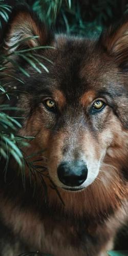 10:32:52 GMT-0600 (CST)