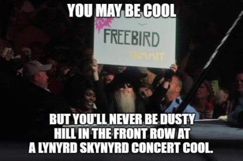 dusty hill00