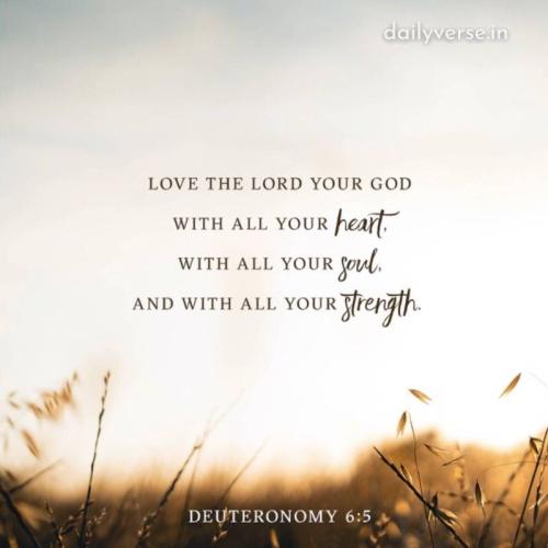 09:00:29 GMT-0500 (EST)