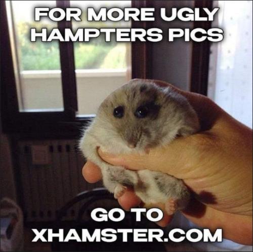 xhamster dot com00