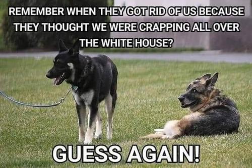 00:17:36 GMT-0500 (EST)