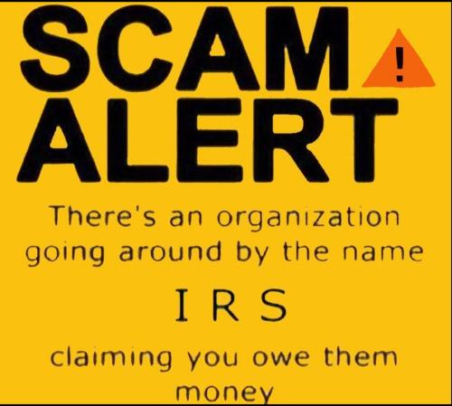 1318813473697697809