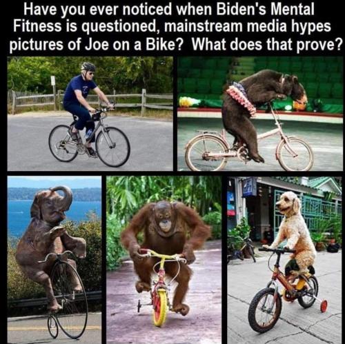 94645f75e9c3279baddf2138184d06d5