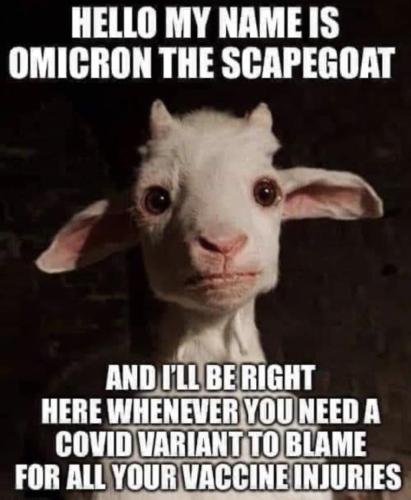 photo_2021-12-08_15-00-25