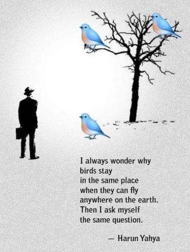 16:49:01 GMT-0600 (CST)