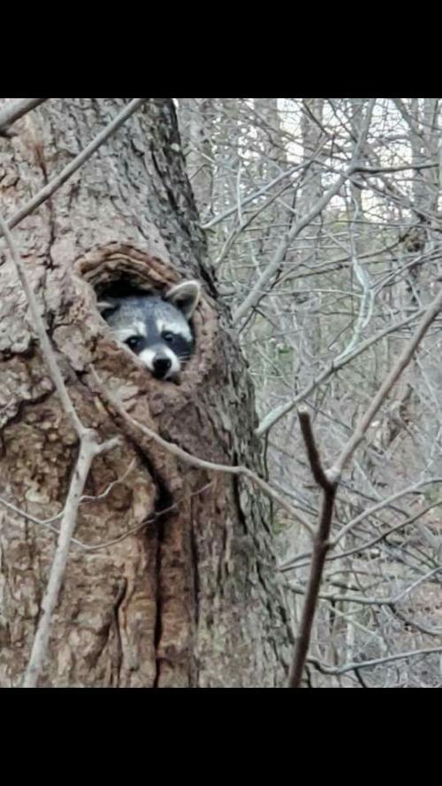 img_2020_12_02_21_56_57