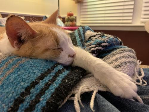 1D0E8A87-243D-4E64-BB6C-48A68EC92E21