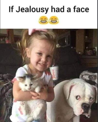 FB_IMG_1639977937477