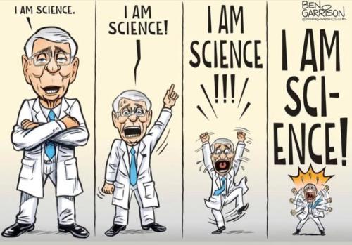 263759821_452110016276496_7450792192789453531_n