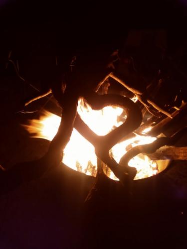 signal-2021-11-27-20-36-31-000-1