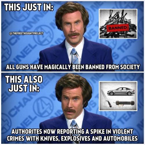 250690764_2655617238078807_605501756128553713_n