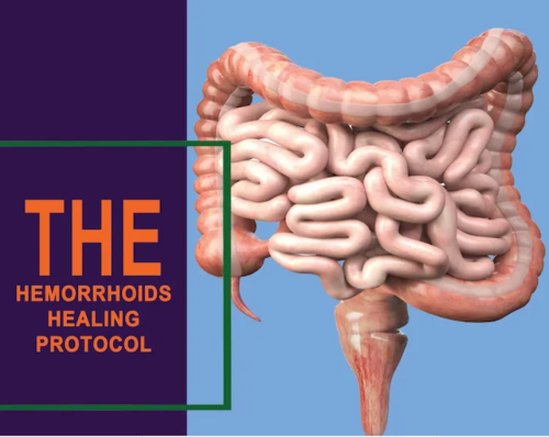 Hemorrhoids Healing Protocol - Cure Hemorrhoids In 48 Hours