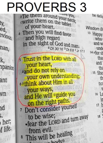 0 -5526ebfe423db5c57330367488bbb5f4 (1)