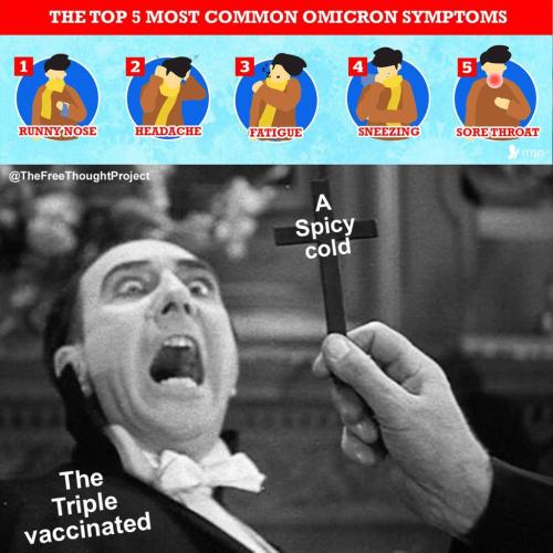 269876780_2692203091086888_4419539609508783720_n